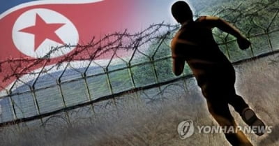 월북자 이중철책 넘는데 4분도 안걸려…군, 6분뒤 도착 "이상무"