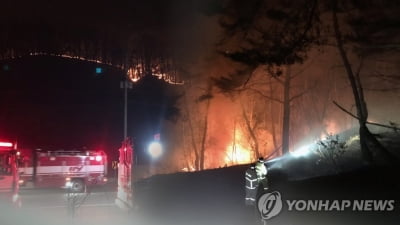 순천 야산에서 산불…진화인력 투입 진화 중