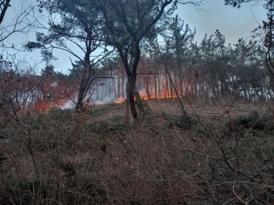 순천 야산에서 산불…2시간여 만에 진화(종합)