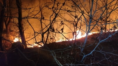 이천 설봉산 산불, 큰 불 잡혀…"인명피해 없어"(종합2보)