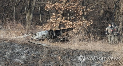 '도입 36년' F-5E 전투기 화성시 야산에 추락…조종사 순직(종합2보)