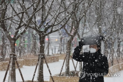 포천 7.1㎝ 적설…경기도, 교통혼잡 우려 재난대책 1단계 가동