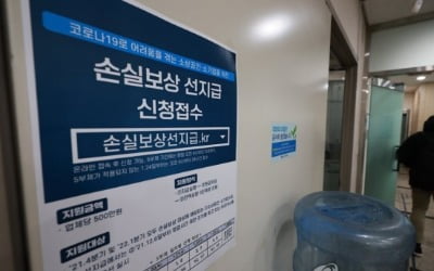 소상공인 손실보상금 선지급 신청률 19.7%…초반에 대거 신청