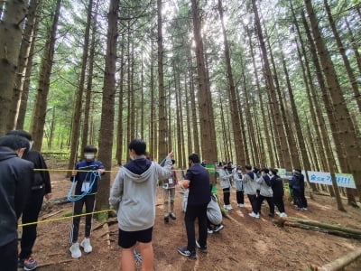 동부산림청, 산림교육·치유 프로그램 운영…15만 명에 제공