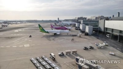 베트남 "도쿄발 여객기 '폭파 위협' 사건, 日과 공조 수사"