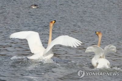 부산·울산·경남 일교차 커 건강 주의…낮 최고 12도