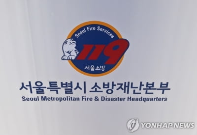 서울시, 설 연휴 방역체계 유지…24시간 응급상황실 운영
