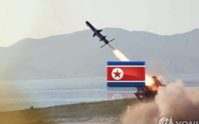 북한, 신형 순항미사일 2발 기습 발사…"내륙서 상당시간 비행"