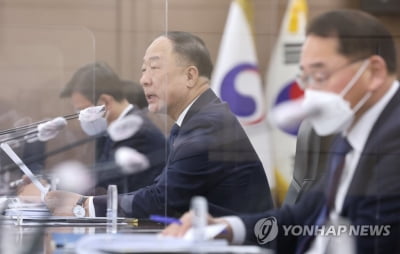 홍남기 "17개 성수품 중 15개 가격 하락…설까지 집중관리"