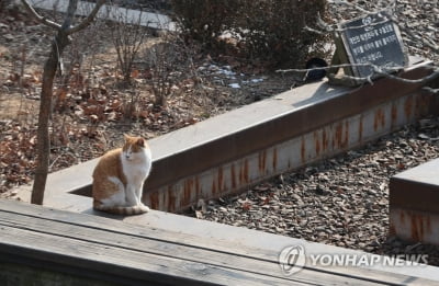 대전·세종·충남 구름 많고 건조…낮 최고 6도