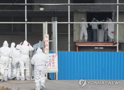 농식품부, 연휴에도 가축방역 매진…비상근무반 운영