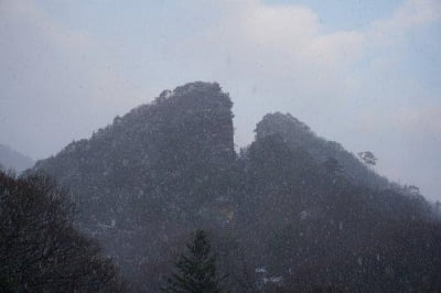 기시다, '아베의 힘'에 굴복…7월 참의원 선거도 의식