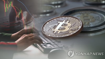 '코인 담보 대출'이 혁신 서비스?…돈세탁·깡 우려에 중단