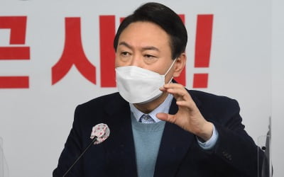 "영농 하지도 않으면서"…민주당, 尹장모 농지 불법취득 의혹 제기