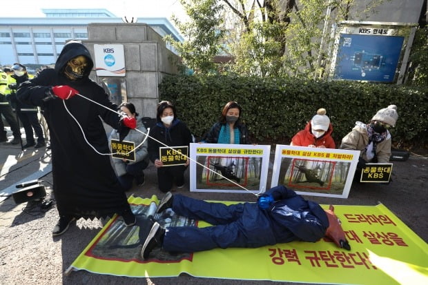 '태종 이방원' 밧줄에 고꾸라진 말…알고보니 퇴역 경주마 '까미'