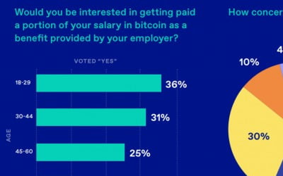 사장님의 제안 "자네, 비트코인으로 월급 받을 생각 있나?" [한경 코알라]