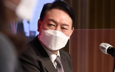與 "尹처가, 땅 차명보유 의혹"…野 "李부부 황제 의전 물타기 "