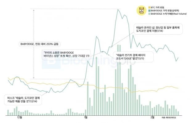 사진=블루밍비트