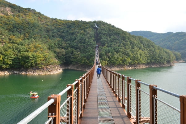 충청북도 제천시 옥순봉 출렁다리 / 제공 제천시