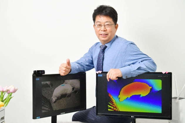 [전남대학교기술지주회사(주) 2021년 초기창업패키지 선정기업] 3D 이미지로 돼지 체중 측정하는 장치 개발한 '빅데이터인사이트'