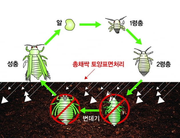 팜한농, 해충 번데기 방제하는 생물농약 개발 성과 인정받아 