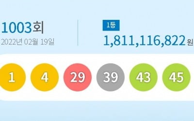 1003회 로또 1등 '1, 4, 29, 39, 43, 45'…보너스 번호 '31'