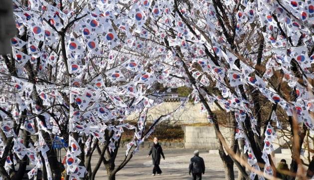 [포토] 3·1절 제103주년 맞아 효창공원 일대 태극기 거리 조성