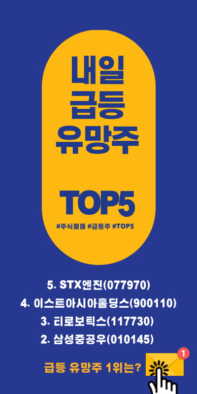 내일 급등 유망주 TOP5 !