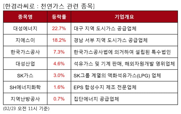 대성에너지,지에스이,한국가스공사,대성산업,SK가스,SH에너지화학,지역난방공사