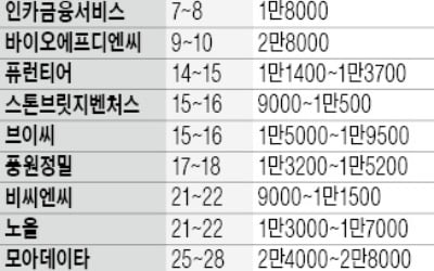 IPO시장 냉기 흐르지만…이달 13개社 공모 나선다