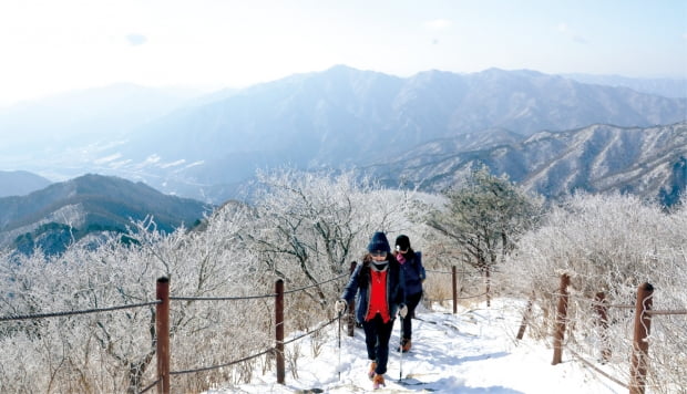 지난 5일 소백산 정상으로 향하는 연화봉~비로봉 코스를 본지 기자들이 함께 오르고 있다. 