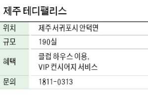 제주 테디팰리스, 프라이빗 리조트…입주민 VIP 서비스