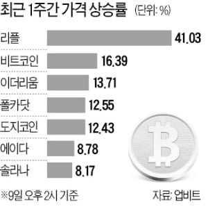 '살얼음판' 비트코인…정체성 논쟁 재점화