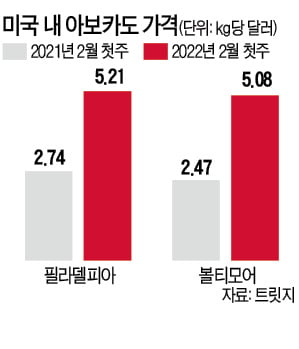 슈퍼볼에…두 배 뛴 아보카도