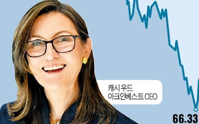 급락한 로블록스 매수…캐시 우드 '베팅' 성공할까