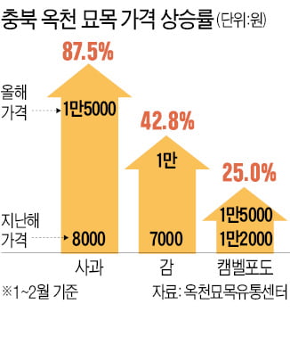 묘목 품귀에 가격 껑충…과수농가 '시름'