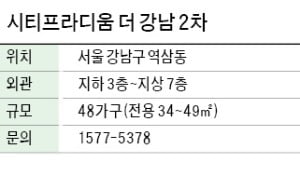 시티프라디움 더 강남 2차, 역삼동 소형주거시설…가전 무상제공