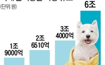 코스맥스, 반려동물 시장 진출…전용 샴푸·건강 간식 내놓는다