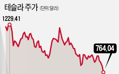 '칠백슬라' 된 테슬라…분할매수의 시간?