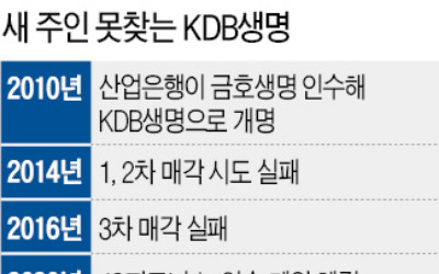 심사 지연에…8개월째 새주인 못 맞는 KDB생명