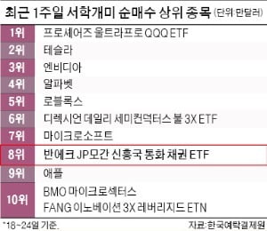 애플도 제쳤다…신흥국 채권 ETF 담는 서학개미