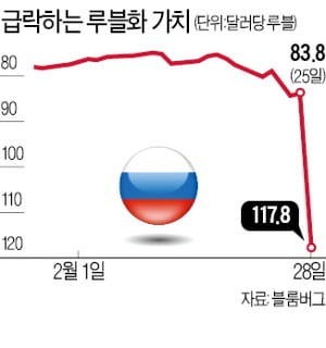 러, 루블화 가치 30% 폭락에 '달러 사재기'…ATM엔 인출 행렬