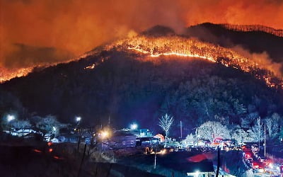 합천·고령 덮친 대형 산불…국가위기경보 '심각' 발령