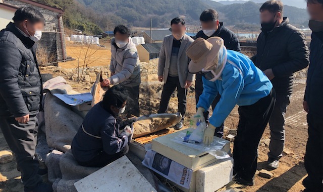 경남 곳곳 '꿀벌 집단실종' 신고…기후 등 원인놓고 의견 분분