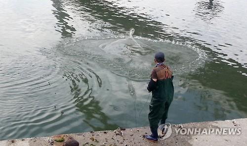 "투망으로 물고기 잡아볼까" 괴산군 관광지 3곳서 허용