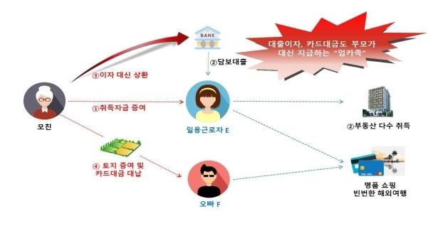 아파트 대출 아빠가 갚아주고 명품은 엄마카드로…편법증여 백태