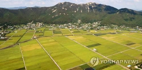 인천시-강화군, 일부 농지 용도변경·해제 놓고 갈등