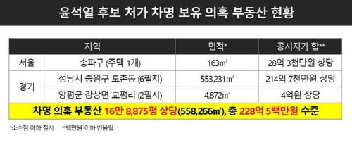 민주 "尹처가 부동산 19만평, 상당수 차명의혹"…野 "네거티브"(종합)