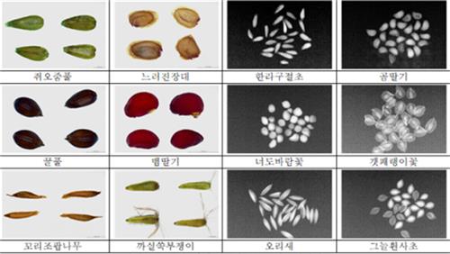 한국수목원정원관리원, 자생식물 748종 종자 정보 빅데이터 구축