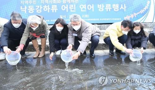 낙동강 하굿둑 건설부터 수시 개방까지…생태계 회복력 보여줄까